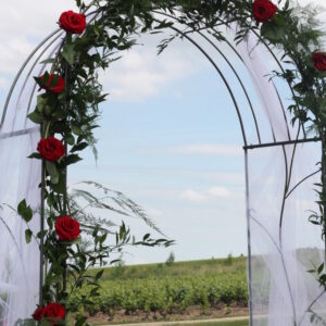 Arche pour Cérémonie