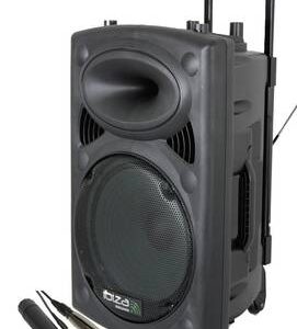 Enceinte 700w + Micro sans fil